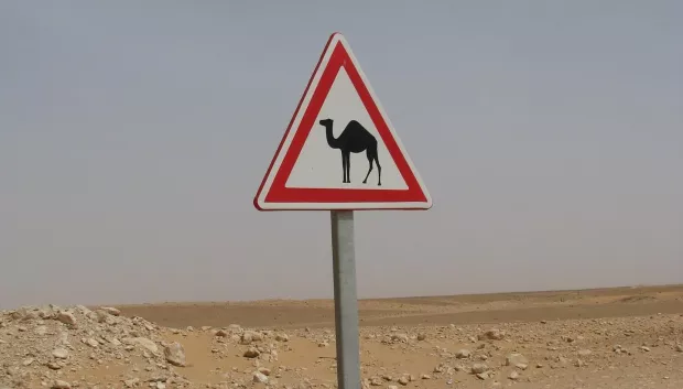 Miss & Míster Volante | Escuela de conducción